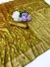 Silk Vol 1 By Aab Elampillai Silk Zari Weaving Saree